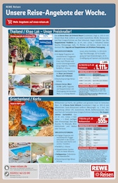 REWE Schwimmbecken im Prospekt 