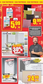 Aktueller Witthus Heimtex-Fachmarkt GmbH Prospekt mit Fliegengitter, "ALLES MUSS RAUS!", Seite 5