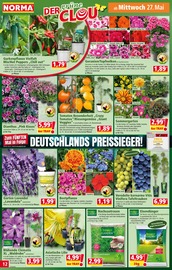Saatgut im Norma Prospekt in Kirchheim Aktueller Norma Prospekt mit Saatgut, "Mehr fürs Geld", Seite 12