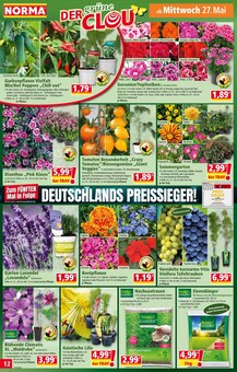 Rum im Norma Prospekt "Mehr fürs Geld" mit 19 Seiten (Mannheim)