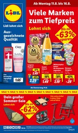 Aktueller Lidl Prospekt mit Eis, "LIDL LOHNT SICH", Seite 1