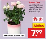 Rosen Duo im Angebot bei Netto Marken-Discount in Schwerin Rosen Duo Angebote bei Netto Marken-Discount Schwerin für 7,99 €