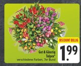 Aktuelles Tulpen Angebot bei E center in Nürnberg ab 1,99 €