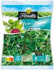 REWE Oerlinghausen - Salat Fein & Pikant Angebot im Prospekt Salat Fein & Pikant bei REWE im Oerlinghausen Prospekt für 1,79 €