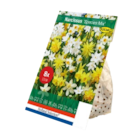 Bulbes de fleurs en promo chez Lidl Bulbes de fleurs dans le catalogue Lidl