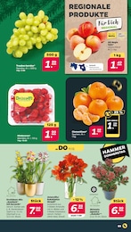 Mandarinen Angebot im aktuellen Netto mit dem Scottie Prospekt auf Seite 3