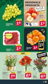 Himbeeren Angebote im Prospekt "Günstig. Besser. Für Dich." von Netto mit dem Scottie auf Seite 3