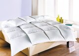 Aktuelles Kassettendecke Angebot bei Netto mit dem Scottie in Potsdam ab 34,99 €
