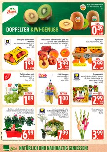 Marktkauf Prospekt der aktuellen Woche, gĂĽltig von 08.06.2026 bis 13.06.2026 Aktueller Marktkauf Prospekt "Top Angebote" mit 36 Seiten