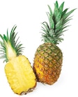 Gold Ananas Angebote bei REWE Ludwigshafen für 1,99 €