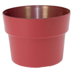 Promo Œillet Pink Kisses à 2,95 € dans le catalogue LaMaison.fr à La Ferté-Bernard