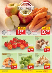 Pilze im Netto Marken-Discount Prospekt in Halle Aktueller Netto Marken-Discount Prospekt mit Pilze, "Aktuelle Angebote", Seite 5