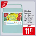Aktuelle Kühlbox Angebote bei E center in Ulm Aktuelles Kühlbox Angebot bei E center in Ulm ab 11,11 €