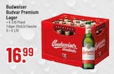 Budvar Premium Lager im Angebot bei Trinkgut in Ingolstadt Budvar Premium Lager Angebote von Budweiser bei Trinkgut Ingolstadt für 16,99 €