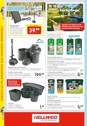 Blumentopf Angebot im aktuellen Hellweg Prospekt auf Seite 17