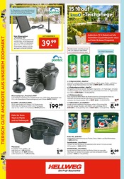 Mixer im Hellweg Prospekt in Iserlohn Aktueller Hellweg Prospekt mit Mixer, "Die Profi-Baumärkte", Seite 17