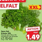 Kaufland Rathenow - Petersilie glatt oder Minze oder Dill oder Schnittlauch oder Koriander Angebot im Prospekt Petersilie glatt oder Minze oder Dill oder Schnittlauch oder Koriander bei Kaufland im Rathenow Prospekt für 1,49 €