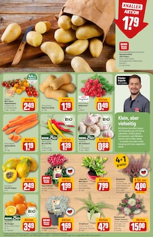 Pflanzen im REWE Prospekt "Dein Markt" mit 30 Seiten (Ludwigshafen (Rhein))