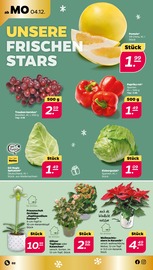 Ähnliche Johannisbeerstrauch Angebote im Prospekt "Günstig. Besser. Für Dich." von Netto mit dem Scottie Ähnliches Angebot bei Netto mit dem Scottie in Prospekt "Günstig. Besser. Für Dich." gefunden auf Seite 2