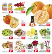 Aktueller Marktkauf Prospekt mit Blumen, "Aktuelle Angebote", Seite 5