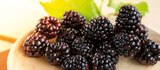 Brombeeren bei Netto Marken-Discount im Schonungen Prospekt für 2,22 €