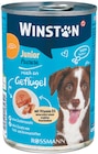 Hund Junior Pastete im Angebot bei Rossmann in Karlsruhe Hund Junior Pastete Angebote von Winston bei Rossmann Karlsruhe für 0,79 €