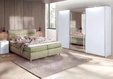Boxspringbett im Angebot bei Zurbrüggen in Minden Boxspringbett Angebote von Dieter Knoll bei Zurbrüggen Minden für 1.598,00 €