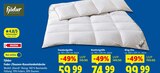 Feder-/Daunen-Kassettenbettdecke Standardgröße im Angebot bei Lidl in Baden-Baden Feder-/Daunen-Kassettenbettdecke Standardgröße Angebote von Fjödur bei Lidl Baden-Baden für 59,99 €
