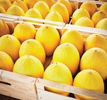 Melon jaune et/ou vert en promo chez Netto Melon jaune et/ou vert dans le catalogue Netto