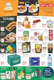 GLOBUS Prospekt für Elsterheide mit 23 Seiten