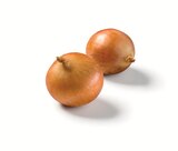 Zwiebeln, gelb im aktuellen Lidl Prospekt