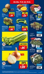 Zwiebeln Angebot & Preis im aktuellen Lidl Prospekt Zwiebeln Angebot im aktuellen Lidl Prospekt auf Seite 5