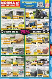 Rasenmäher im Norma Prospekt in Bruchsal Aktueller Norma Prospekt mit Rasenmäher, "Mehr fürs Geld", Seite 19