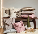 Kissenhülle im Angebot bei BRAUN Möbel-Center in Pirmasens Kissenhülle Angebote bei BRAUN Möbel-Center Pirmasens für 16,95 €