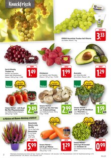 Aktueller EDEKA Prospekt