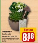 Waldino im Angebot bei REWE in Herne Waldino Angebote bei REWE Herne für 8,88 €