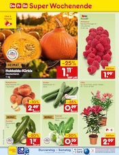 Zucchini im Netto Marken-Discount Prospekt in Siegen Aktueller Netto Marken-Discount Prospekt mit Zucchini, "Aktuelle Angebote", Seite 52