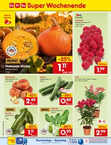 Kürbis im aktuellen Netto Marken-Discount Prospekt (Siegen (Universitätsstadt)) Kürbis im Netto Marken-Discount Prospekt "Aktuelle Angebote" mit 72 Seiten (Siegen (Universitätsstadt))