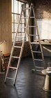 Échelle transformable - CENTAURE en promo chez Rural Master Toulouse à 109,90 €