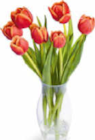 Tulpen Angebote bei Netto Marken-Discount Ingolstadt für 1,99 €