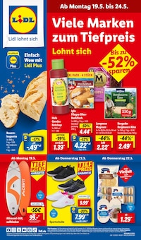 Aktueller Lidl Prospekt (Kemnitz, 66 Seiten zum blättern Lidl Prospekt LIDL LOHNT SICH mit 66 Seiten