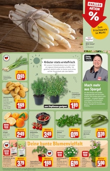 Gartenerde im REWE Prospekt "Dein Markt" mit 40 Seiten (Braunschweig)