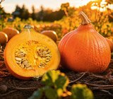 Aktuelle Kürbis Angebote bei Netto Marken-Discount in Siegen (Universitätsstadt) Aktuelles Hokkaido-Kürbis Angebot bei Netto Marken-Discount in Siegen (Universitätsstadt) ab 1,11 €