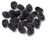 Marokk./portug. Brombeeren von Driscoll's im aktuellen Kaufland Prospekt für 1,99 €