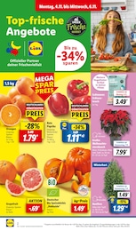 Orangen Angebot im aktuellen Lidl Prospekt auf Seite 2