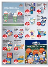 V-Markt Griechischer Joghurt im Prospekt 