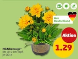 Mädchenauge im Penny Prospekt Mädchenauge von im aktuellen Penny Prospekt für 1,29 €