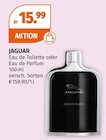 Aktuelles Eau de Toilette oder Eau de Parfum Angebot bei Müller in Bremen ab 15,99 €