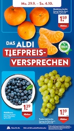 Aktueller ALDI SÜD Prospekt mit Weintrauben, "Gutes für Alle.", Seite 4