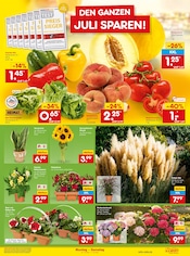 Ähnliche Zugluftstopper Angebote im Prospekt "Aktuelle Angebote" von Netto Marken-Discount in Essen Ähnliche Angebote wie Zugluftstopper im Prospekt "Aktuelle Angebote" auf Seite 11 von Netto Marken-Discount in Essen